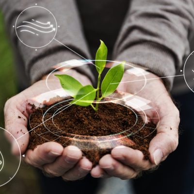 Agricultura inteligente IoT com fundo de árvore de plantio à mão.