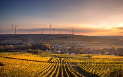 Imagem de um campo com plantação e no fundo energia a eólica.