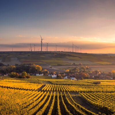 Imagem de um campo com plantação e no fundo energia a eólica.