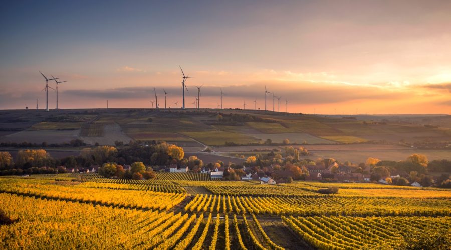 Imagem de um campo com plantação e no fundo energia a eólica.