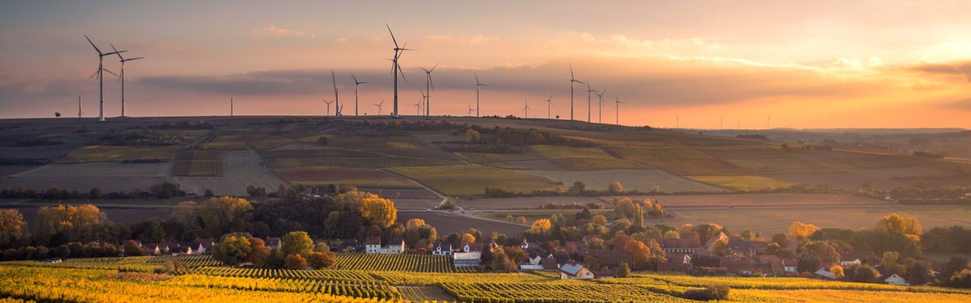 Imagem de um campo com plantação e no fundo energia a eólica.