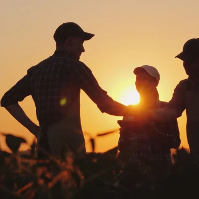 Agronegócio: agricultores em campo