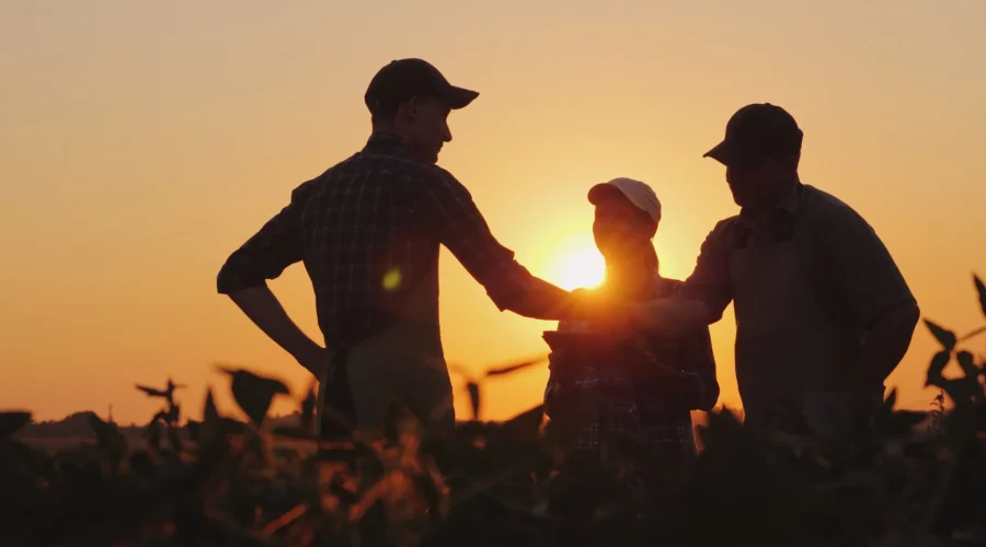 Agronegócio: agricultores em campo