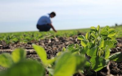 Dia Mundial do Agrônomo: celebre esta data com a Mosaic  