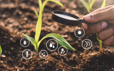 bioanálise do solo e sustentabilidade - pessoa com lupa apontando para o solo com uma planta