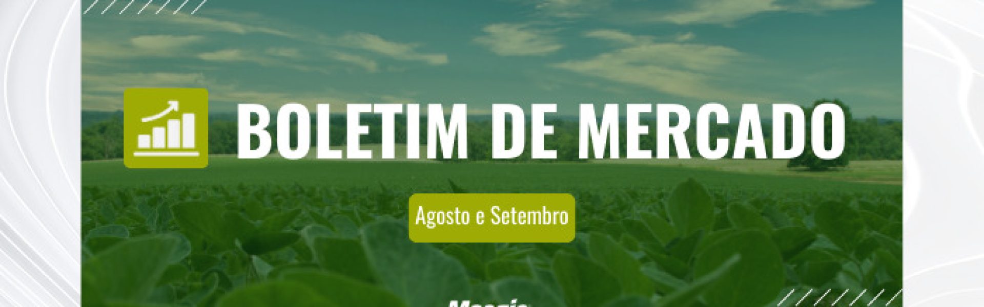 Plantação de soja ao fundo com título de Boletim de Mercado e logo da Mosaic Fertilizantes.