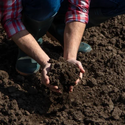 Agricultor verificando o solo.