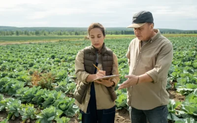 Agrônomos discutindo o plano de manutenção da safra