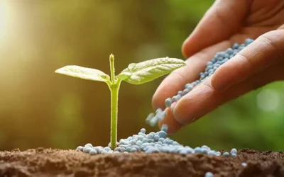 compatibilidade e mistura de fertilizantes na lavoura