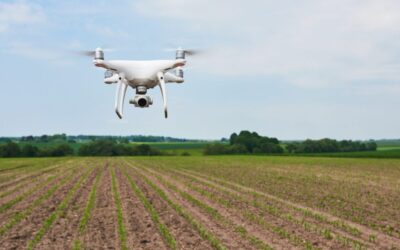 Análise da deficiência nutricional por drones