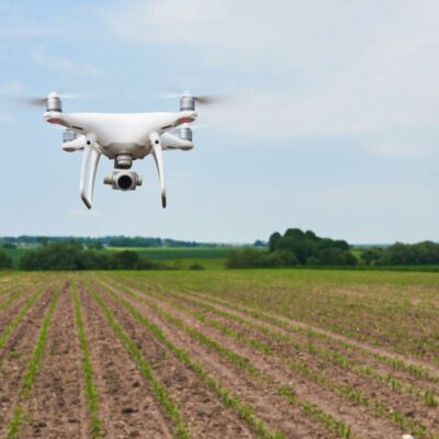 Análise da deficiência nutricional por drones