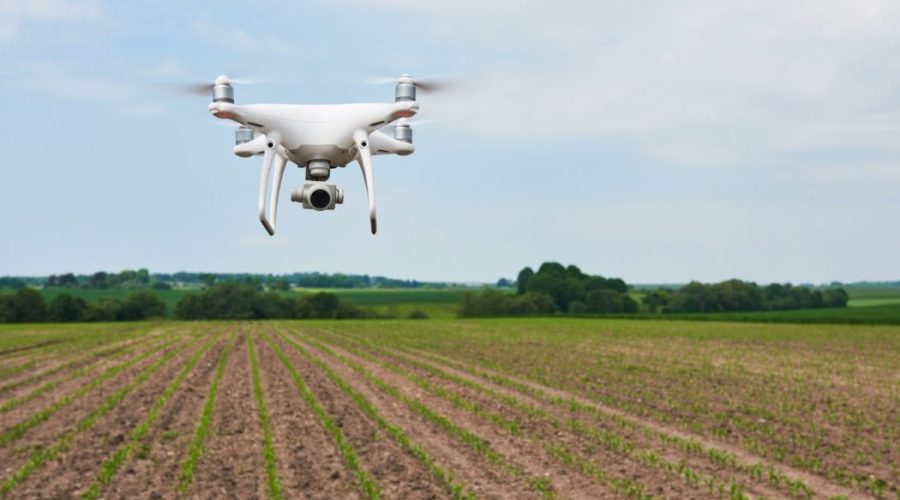 Análise da deficiência nutricional por drones