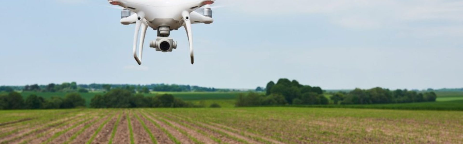 Análise da deficiência nutricional por drones