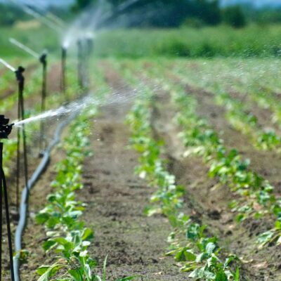 irrigação do solo: irrigação de plantação