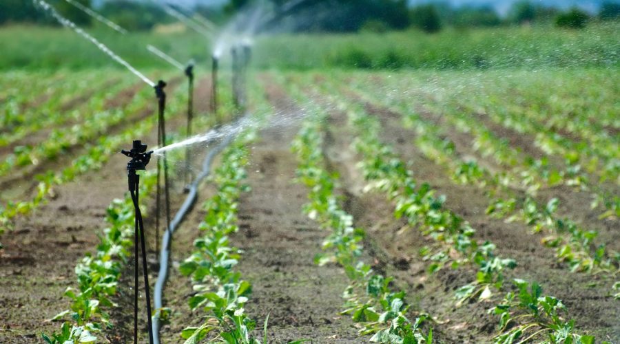 irrigação do solo: irrigação de plantação