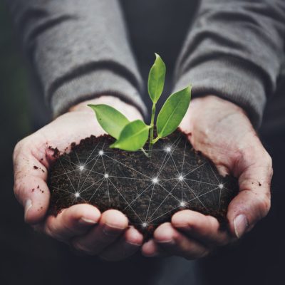 Mão branca segurando um punhado de terra preta com uma pequena planta verde no centro.