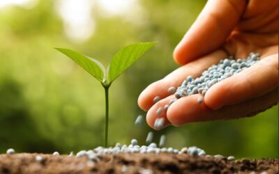 fertilizantes sendo aplicados diretamente nas plantas - tecnologia em fertilizantes