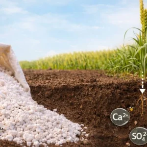gesso agrícola
