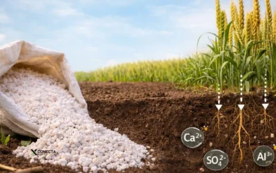 gesso agrícola