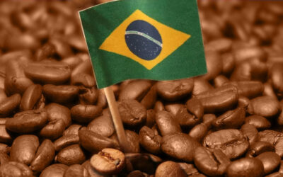 graos-de-cafe-em-close-com-bandeira-do-Brasil-colocada-em-meio-a-eles