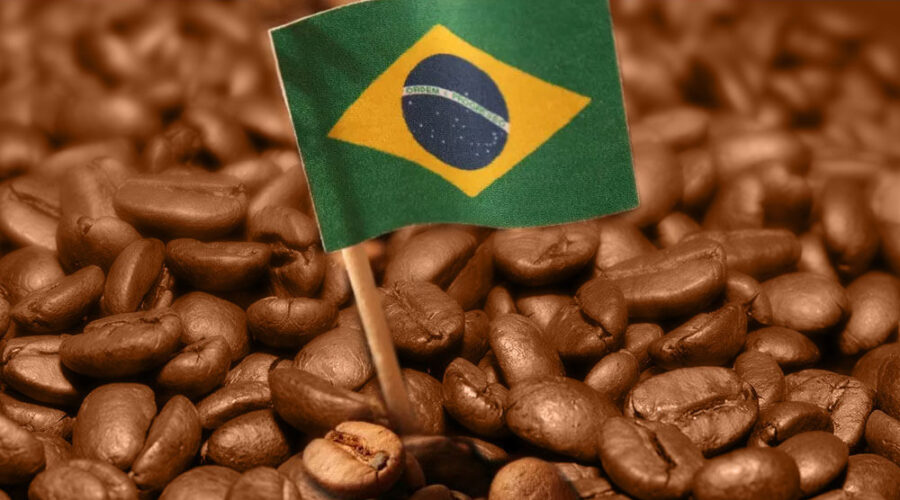 graos-de-cafe-em-close-com-bandeira-do-Brasil-colocada-em-meio-a-eles