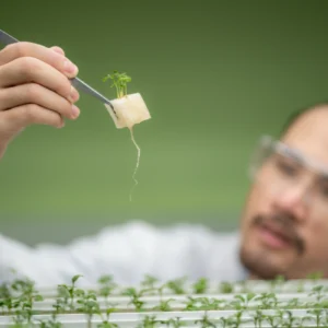 Profissional com óculos de proteção analisando planta com o auxilio de pinças.
