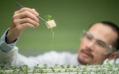 Profissional com óculos de proteção analisando planta com o auxilio de pinças.