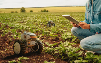 IA na agricultura, uso de mini robô e tablet para mapear a plantação.