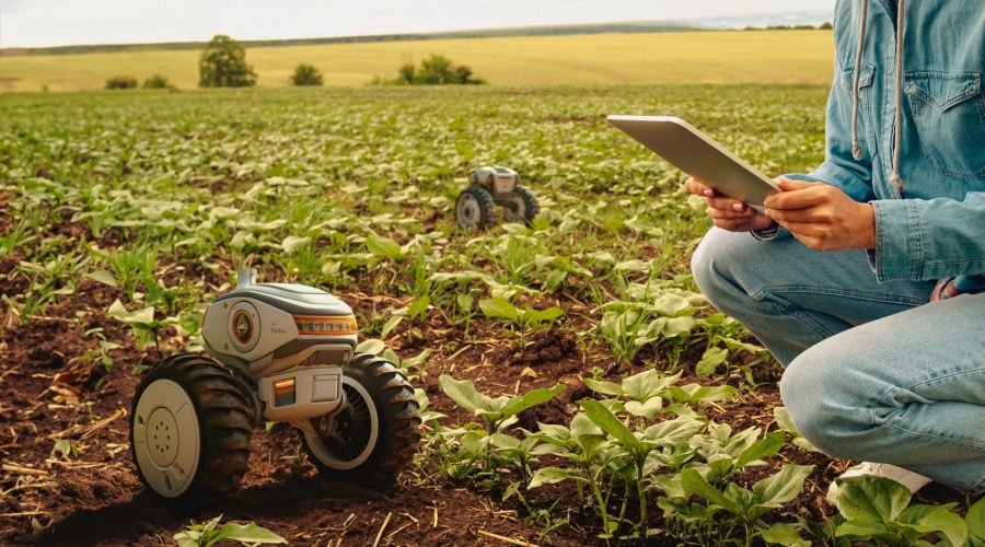 IA na agricultura, uso de mini robô e tablet para mapear a plantação.