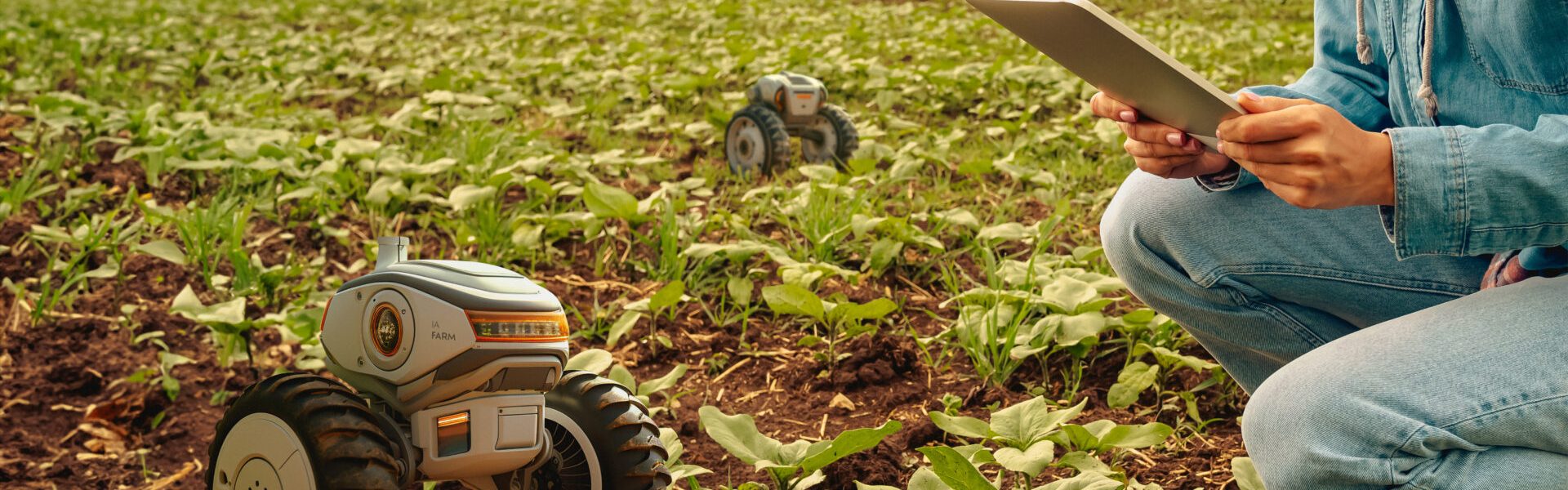 IA na agricultura, uso de mini robô e tablet para mapear a plantação.