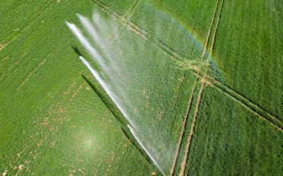 Irrigação por aspersão em lavoura para garantir a produtividade agrícola.