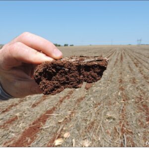 Uma mão segurando um pedaço de latossolo, com o campo ao fundo