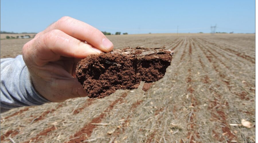 Uma mão segurando um pedaço de latossolo, com o campo ao fundo