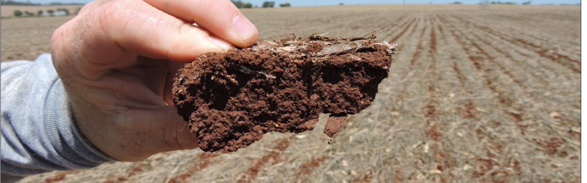 Uma mão segurando um pedaço de latossolo, com o campo ao fundo