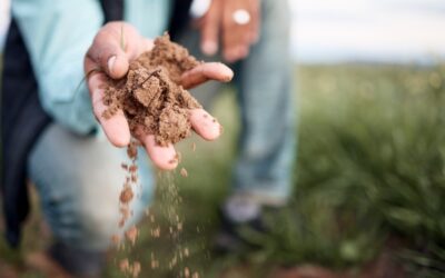 agricultor pegando um pouco do solo que obteve lixiviação de nutrientes