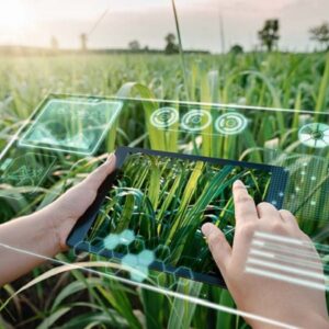 mãos brancas segurando tablet repleto de dados na lavoura com plantas verdes