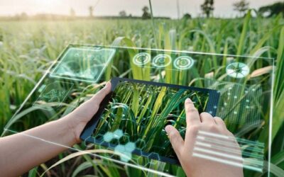 mãos brancas segurando tablet repleto de dados na lavoura com plantas verdes