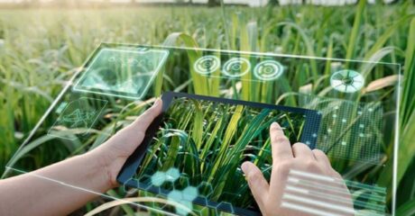 mãos brancas segurando tablet repleto de dados na lavoura com plantas verdes