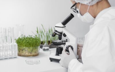 Cientista avaliando uma amostra de solo e planta no microscópio.