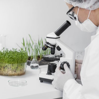 Cientista avaliando uma amostra de solo e planta no microscópio.