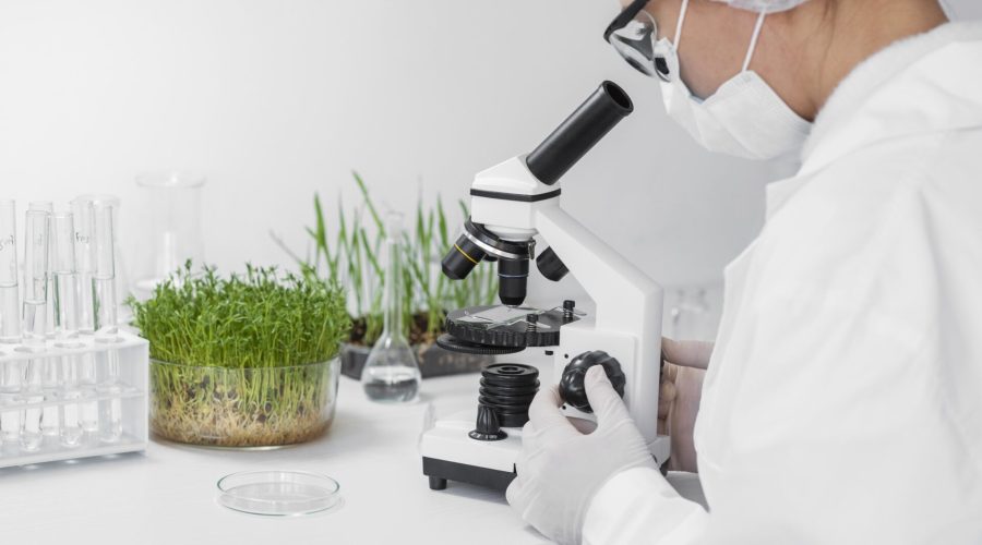 Cientista avaliando uma amostra de solo e planta no microscópio.