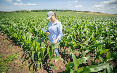 Mulheres na agricultura, diversas mulheres em um campo de soja com o céu azulado.