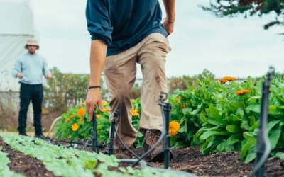 o-que-e-agricultura-sustentavel