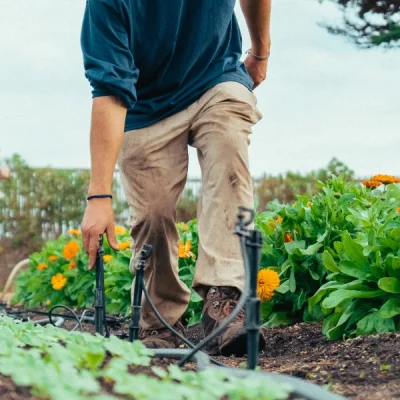 o-que-e-agricultura-sustentavel