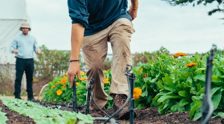 o-que-e-agricultura-sustentavel