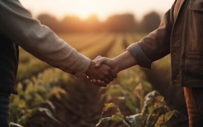 Barter homens do campo fechando negócio dando as mãos