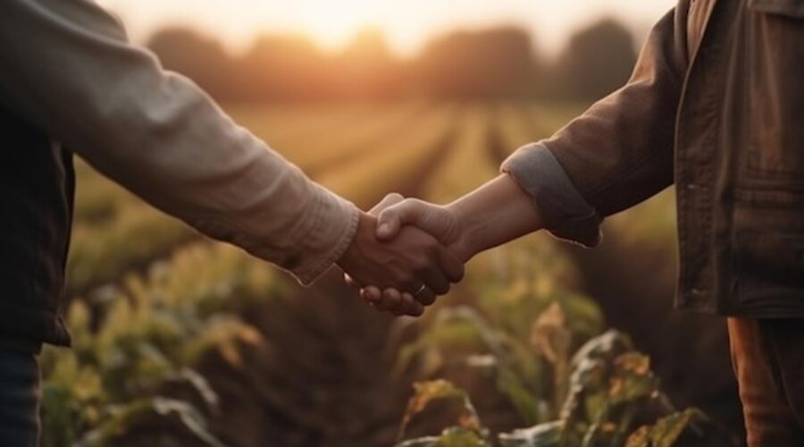 Barter homens do campo fechando negócio dando as mãos