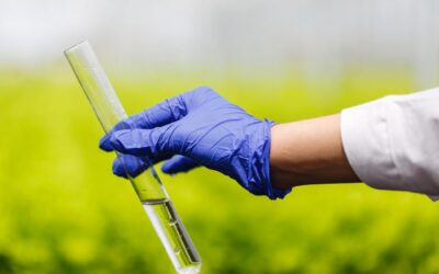 pessoas com luva na mão segurando tubo de ensaio com bioinsumos dentro