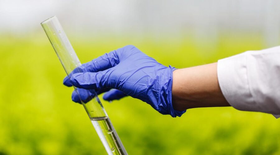 pessoas com luva na mão segurando tubo de ensaio com bioinsumos dentro
