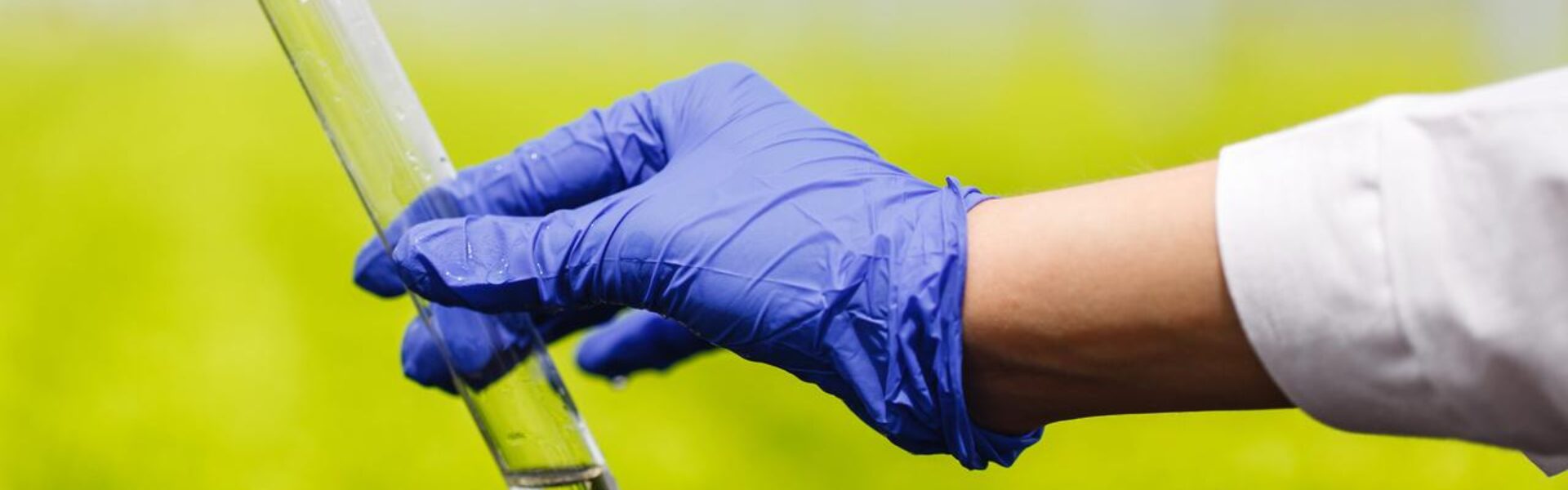 pessoas com luva na mão segurando tubo de ensaio com bioinsumos dentro